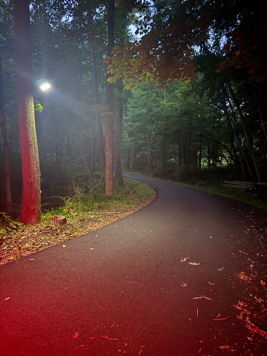 Access road motion lighting