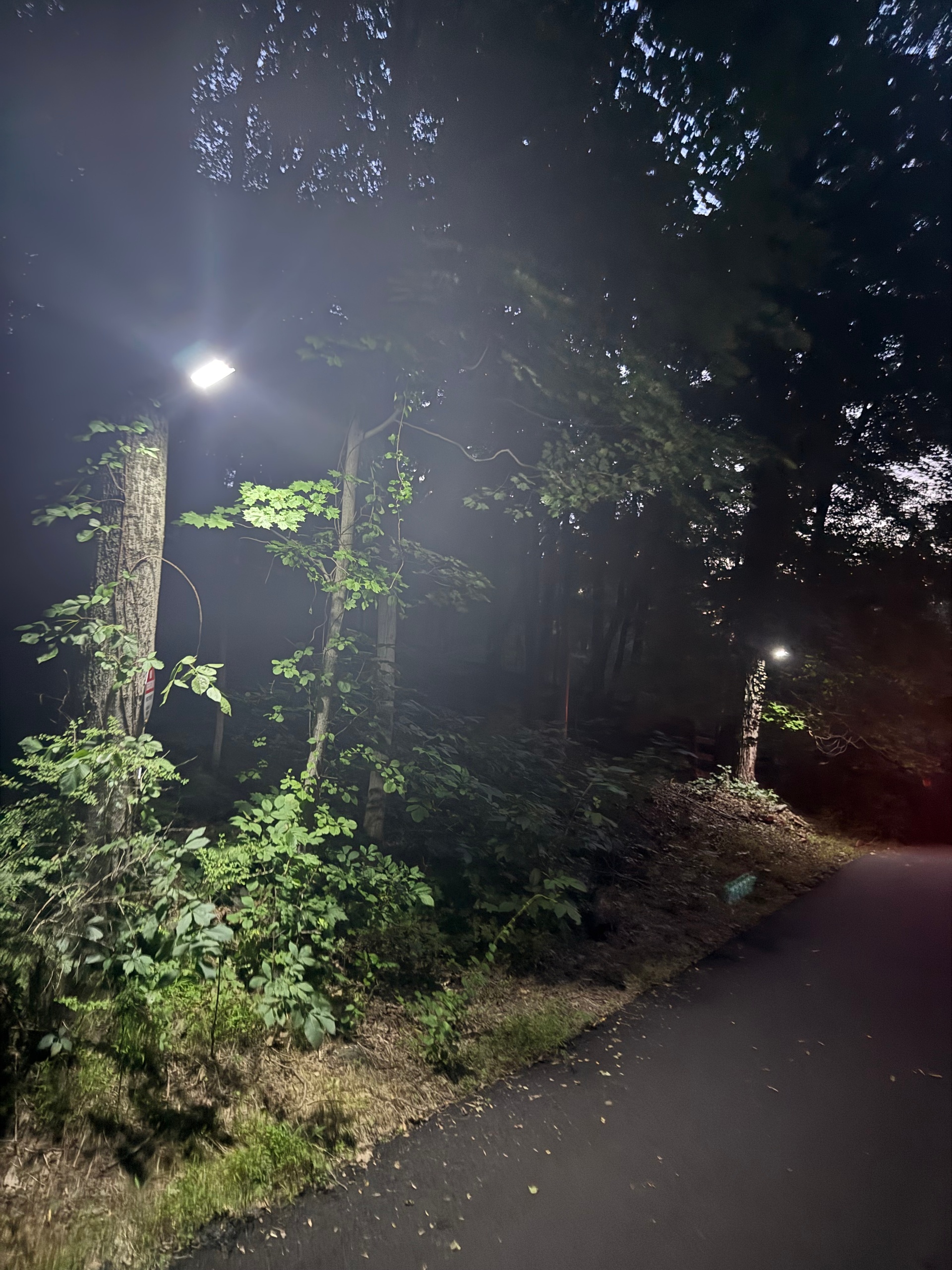 Access road lighting