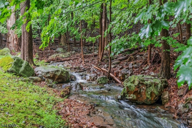 wooded views