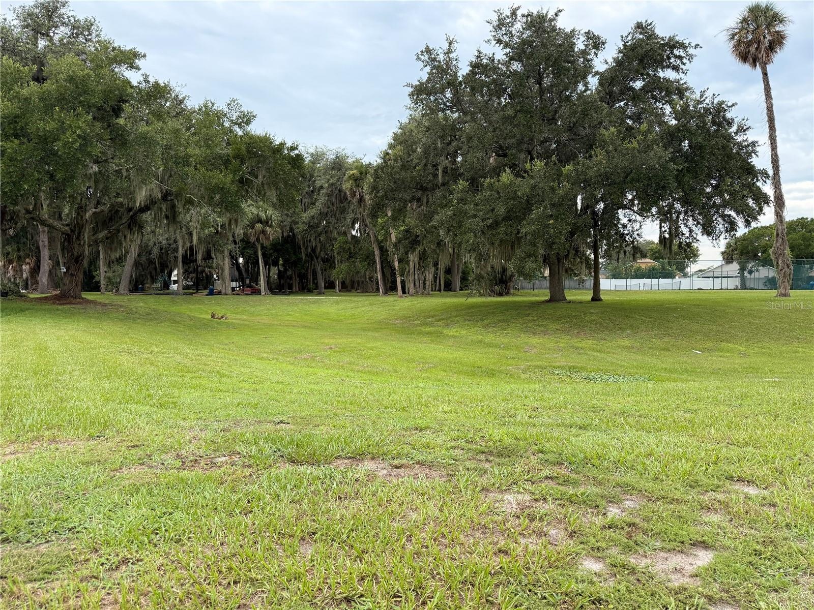 HOA Open Field