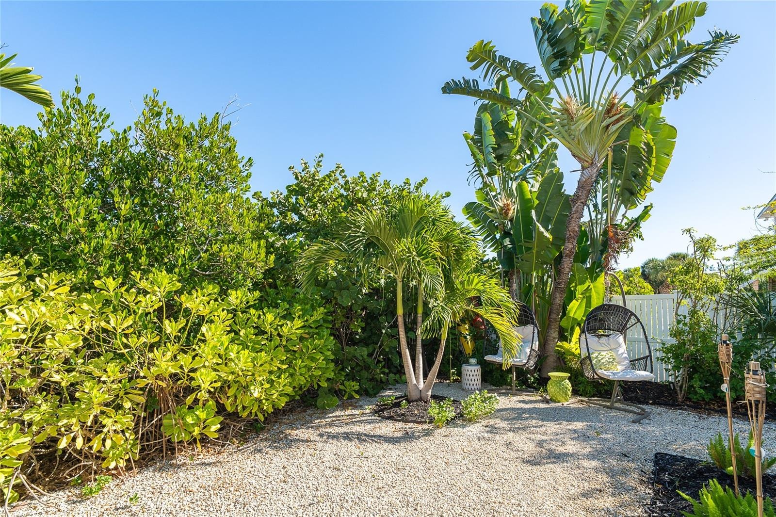 Backyard.