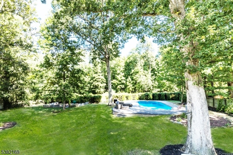 Yard with pool