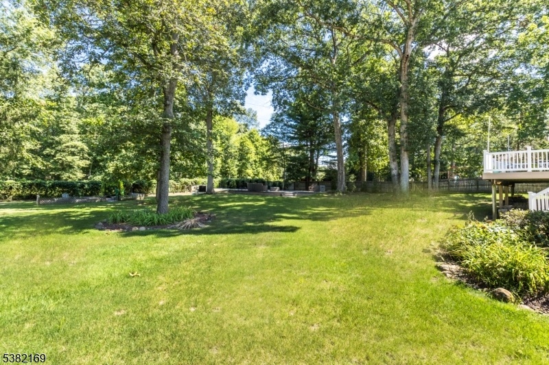 Huge backyard