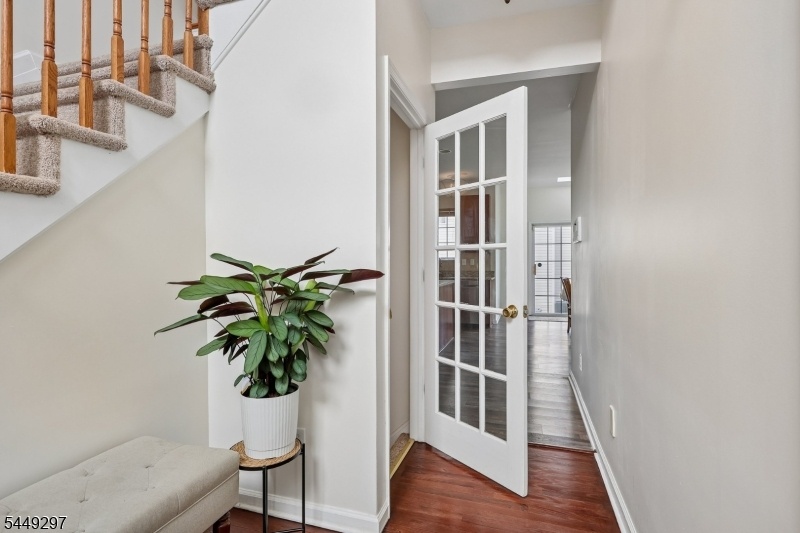 Basement Entrance Door