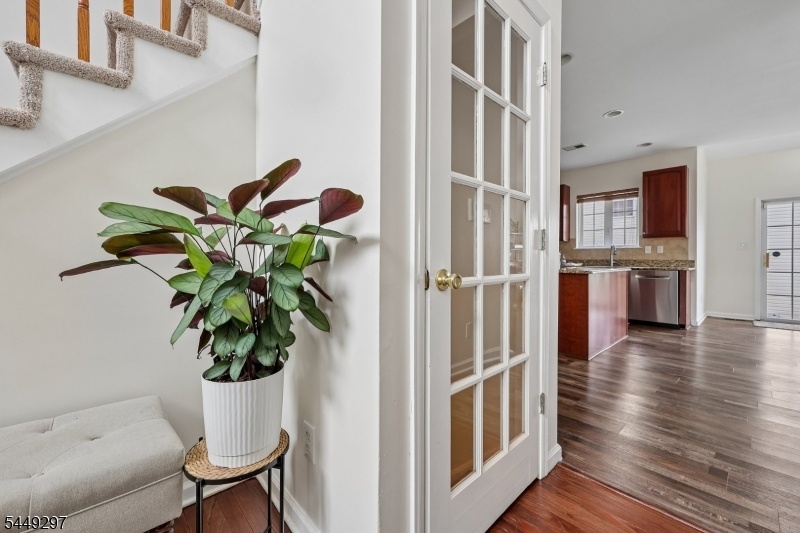 Basement Entrance Door