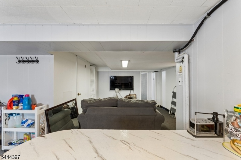 Basement living room