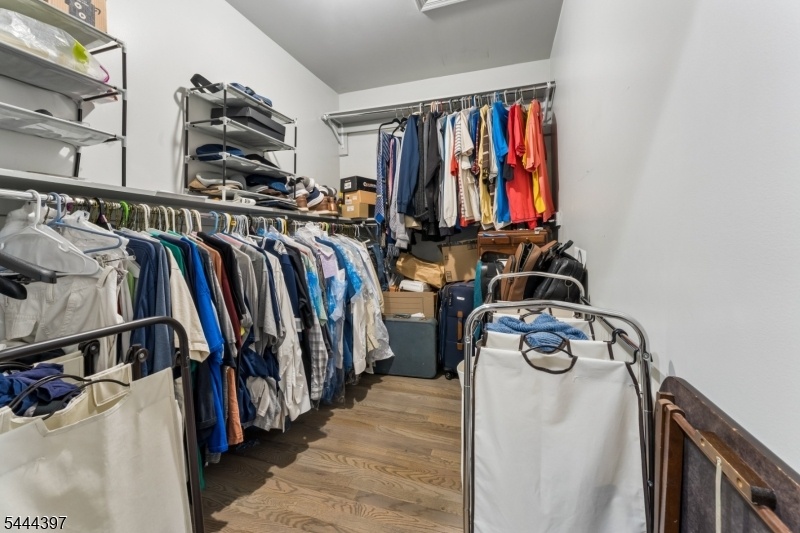 Primary BR walk-in