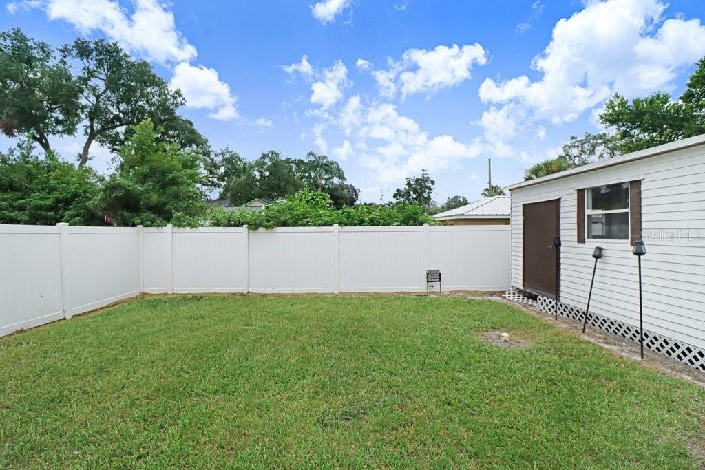 Backyard