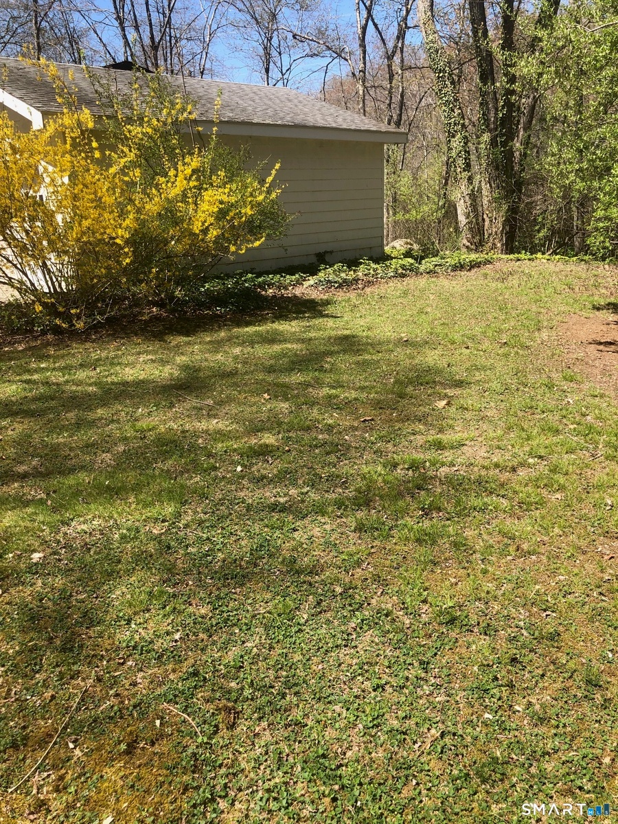 Side Yard