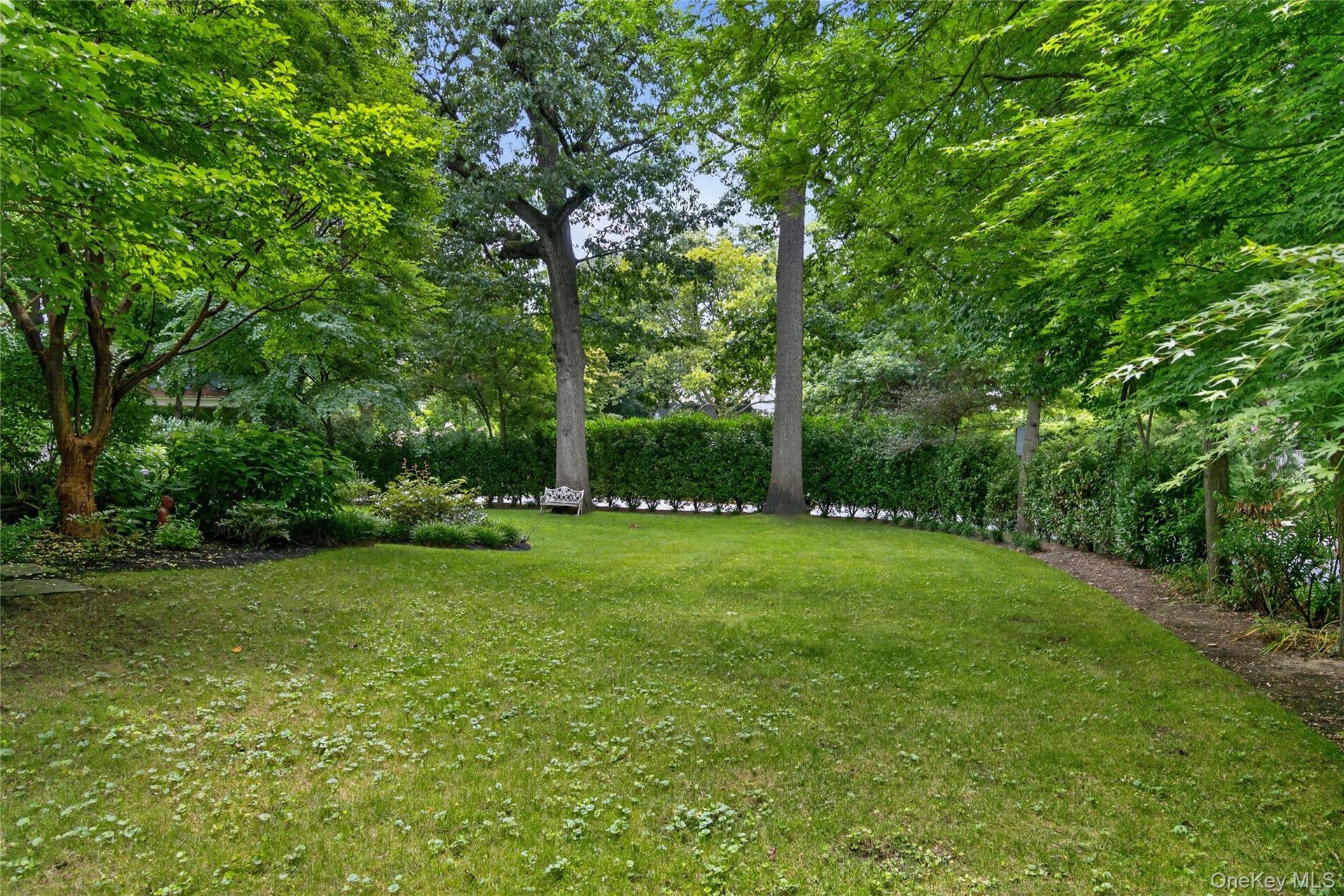 Yard
