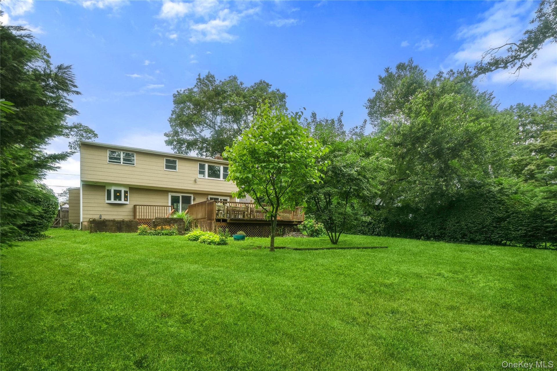Large Backyard