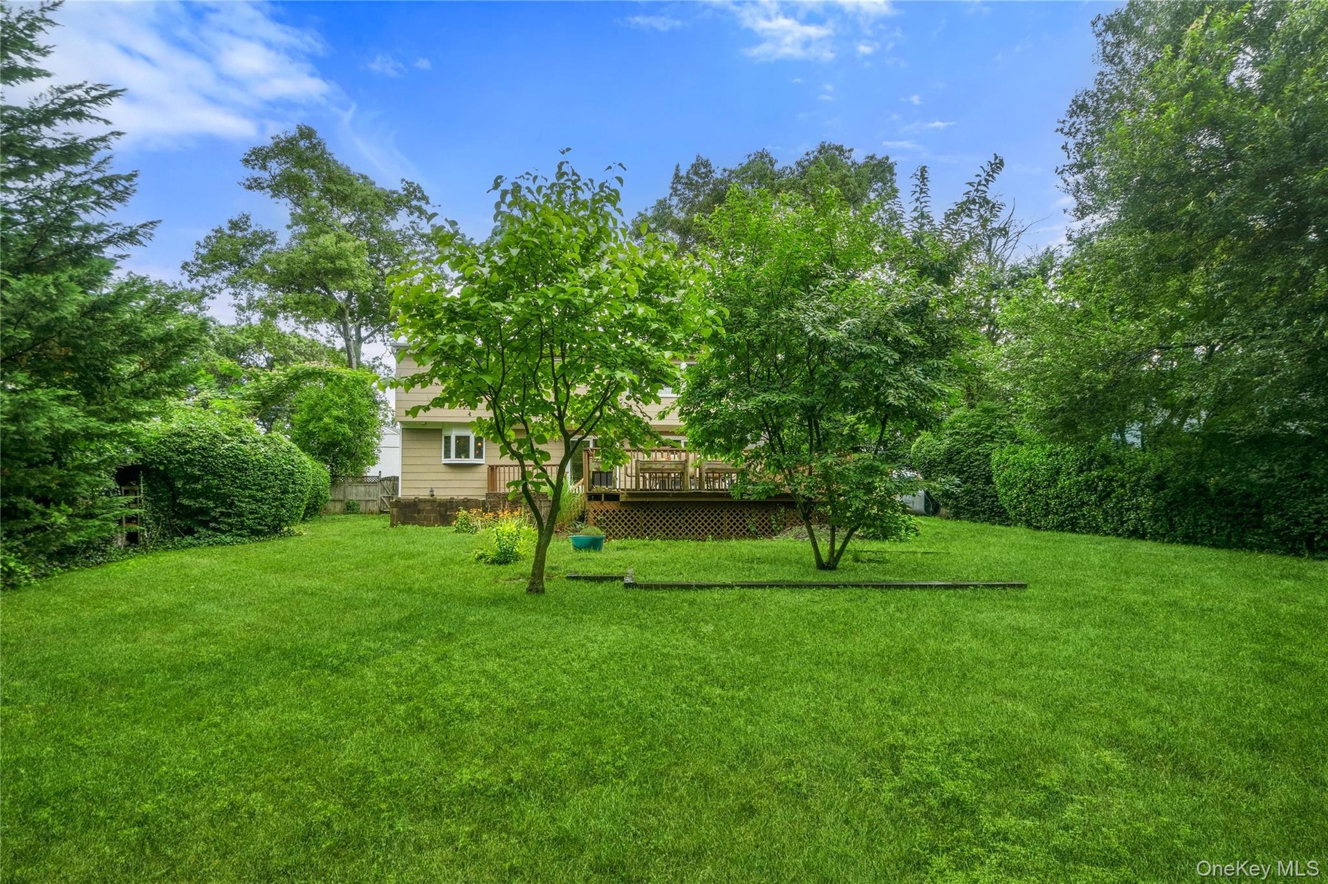 Large Backyard
