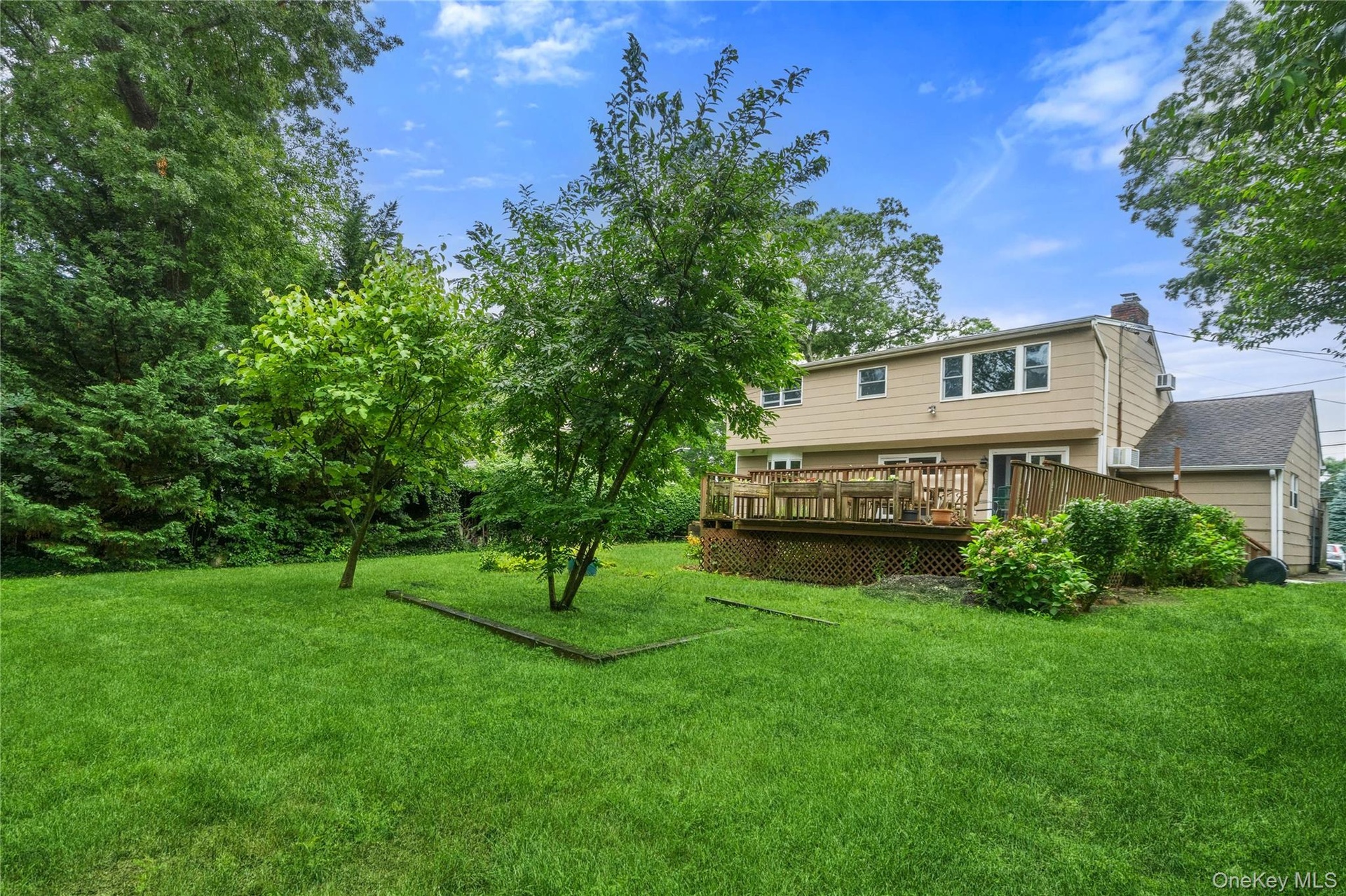 Large Backyard