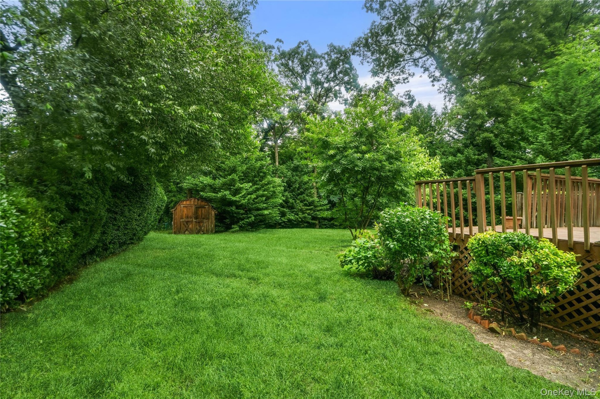 90' x 158' Treed Parcel
