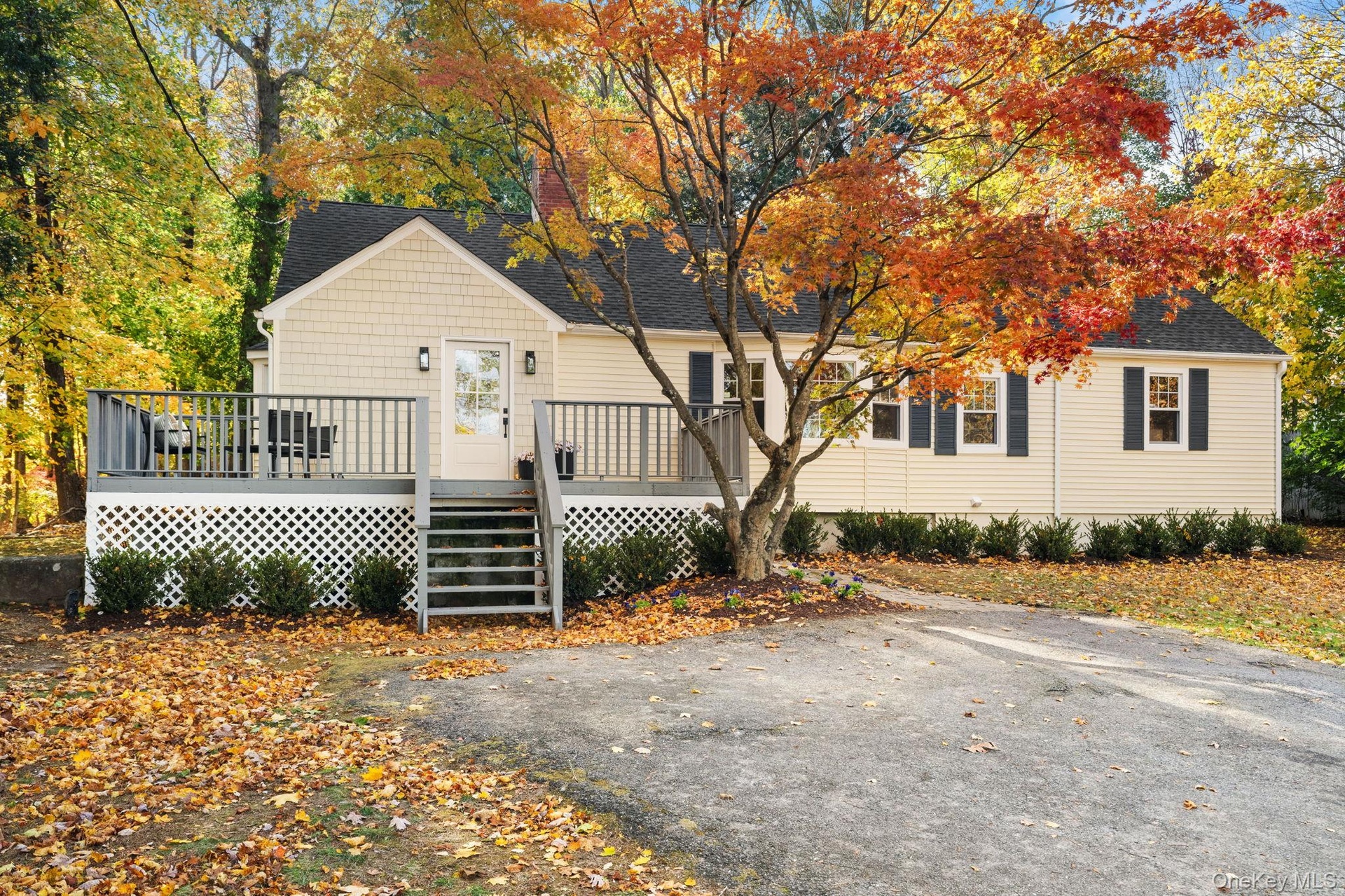 Charming front elevation framed by mature trees and crisp landscaping, offering the perfect blend of privacy and warmth.