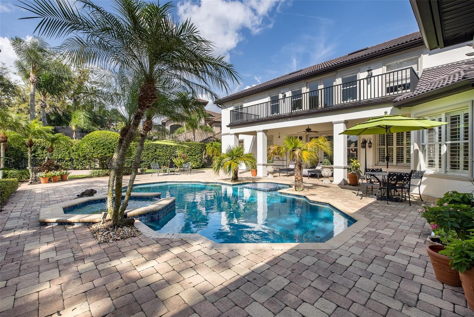 Backyard Oasis