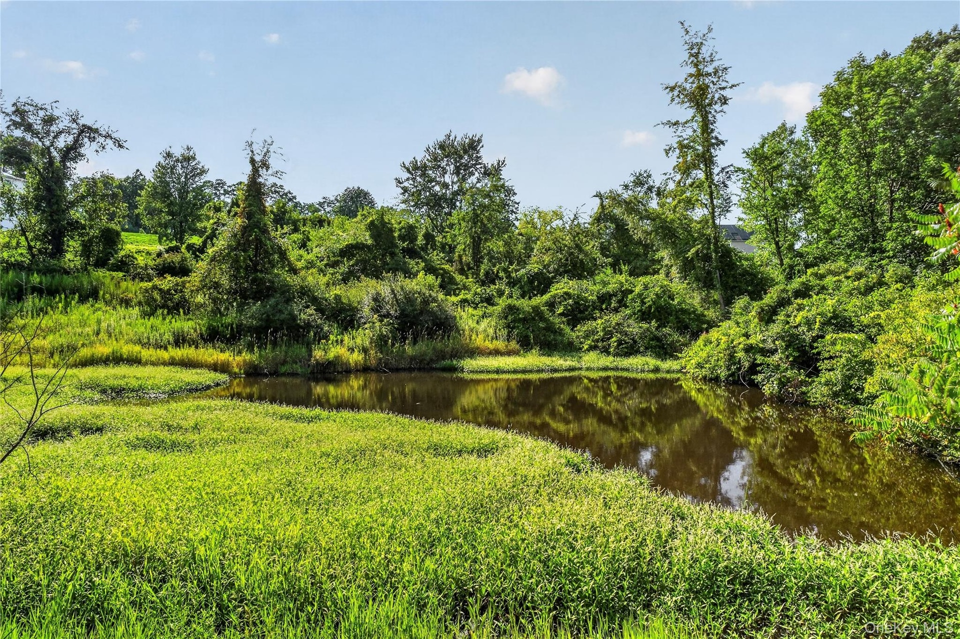 Pond located on property rear corner of the house