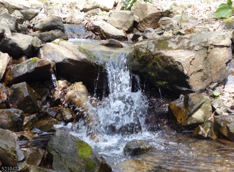 Brook
