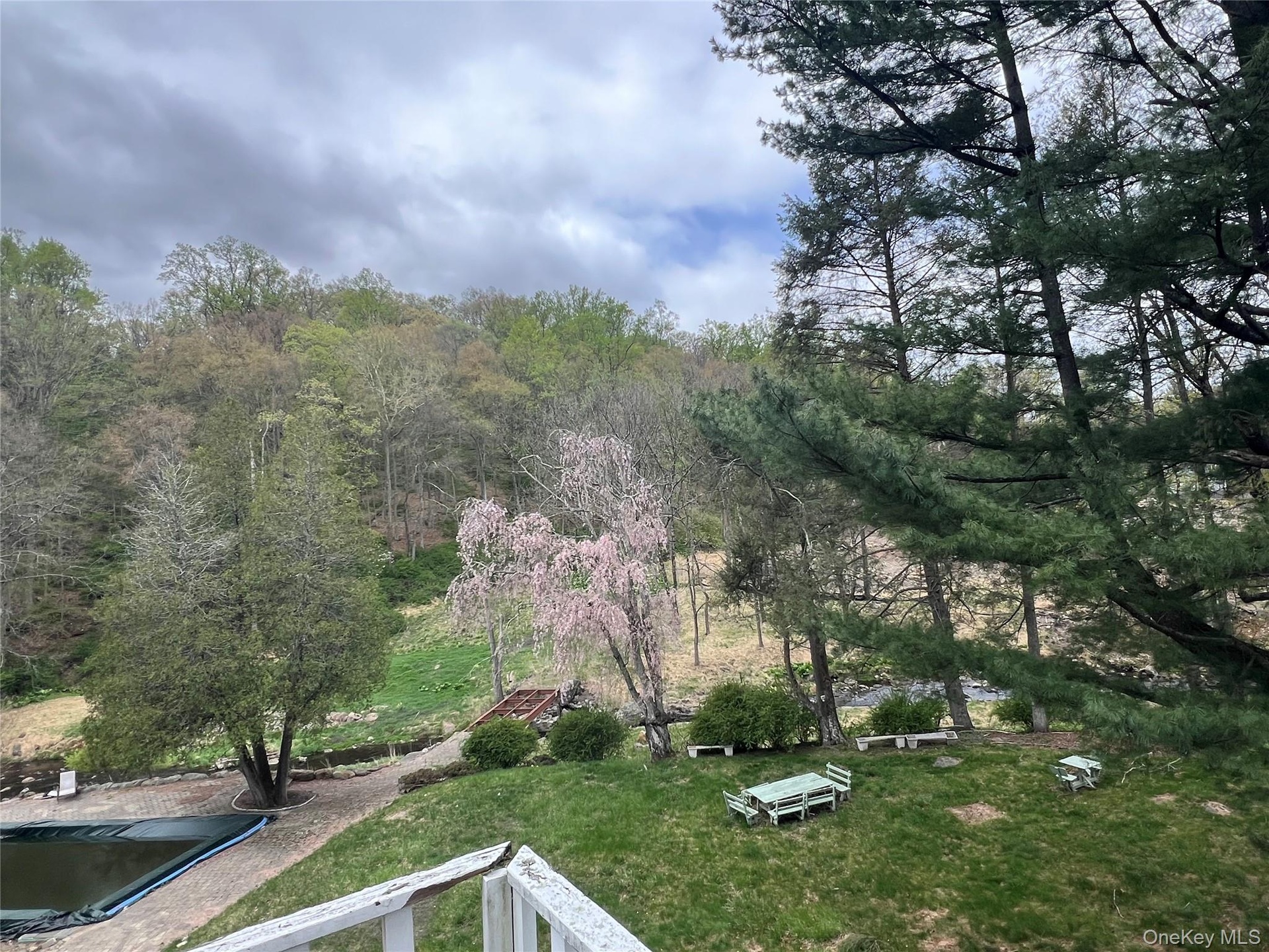 View of yard featuring a view of trees