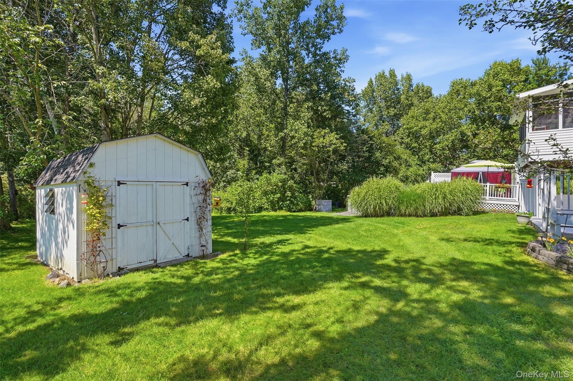 Shed