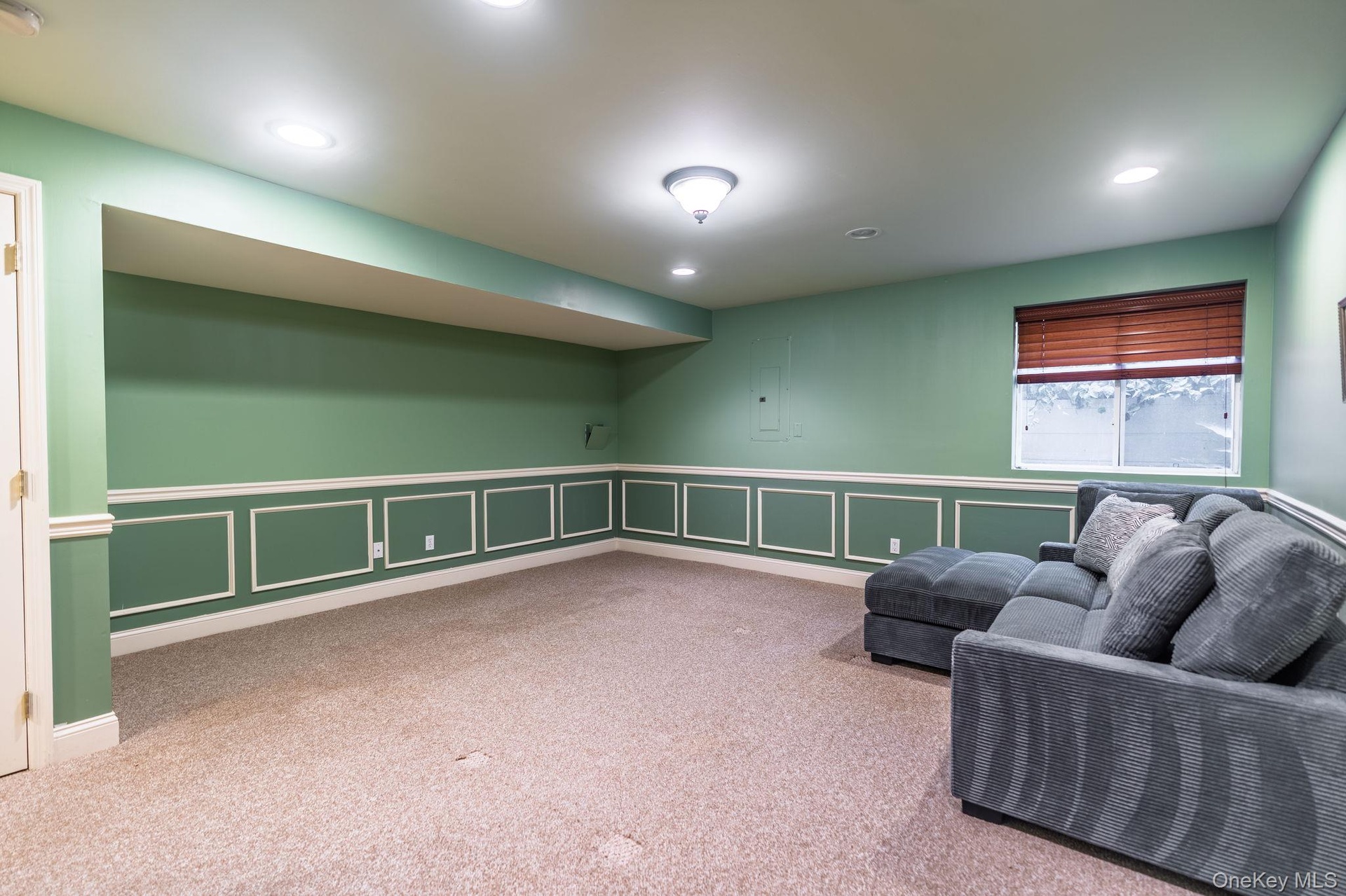Lower Level Flex Room