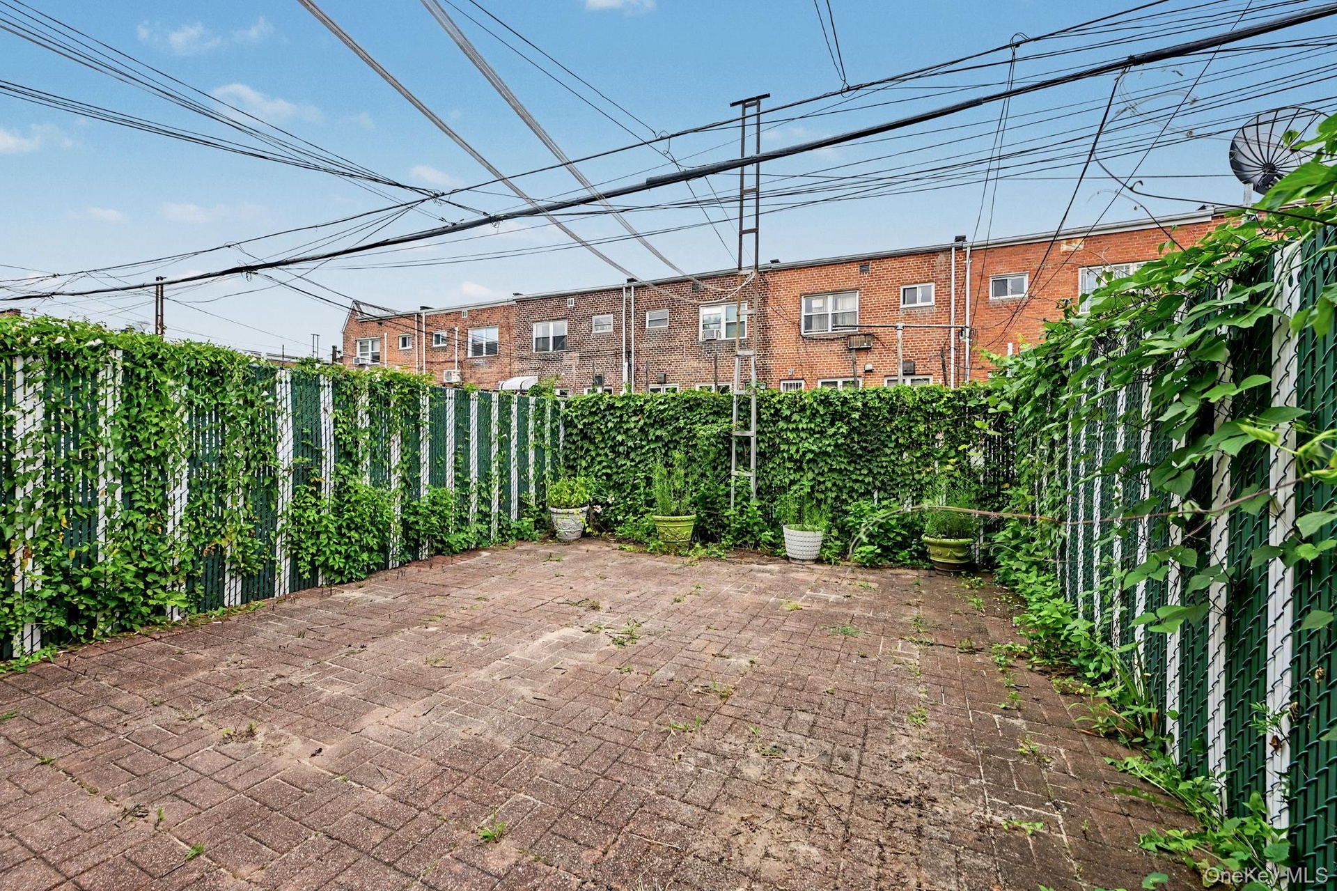 Yard