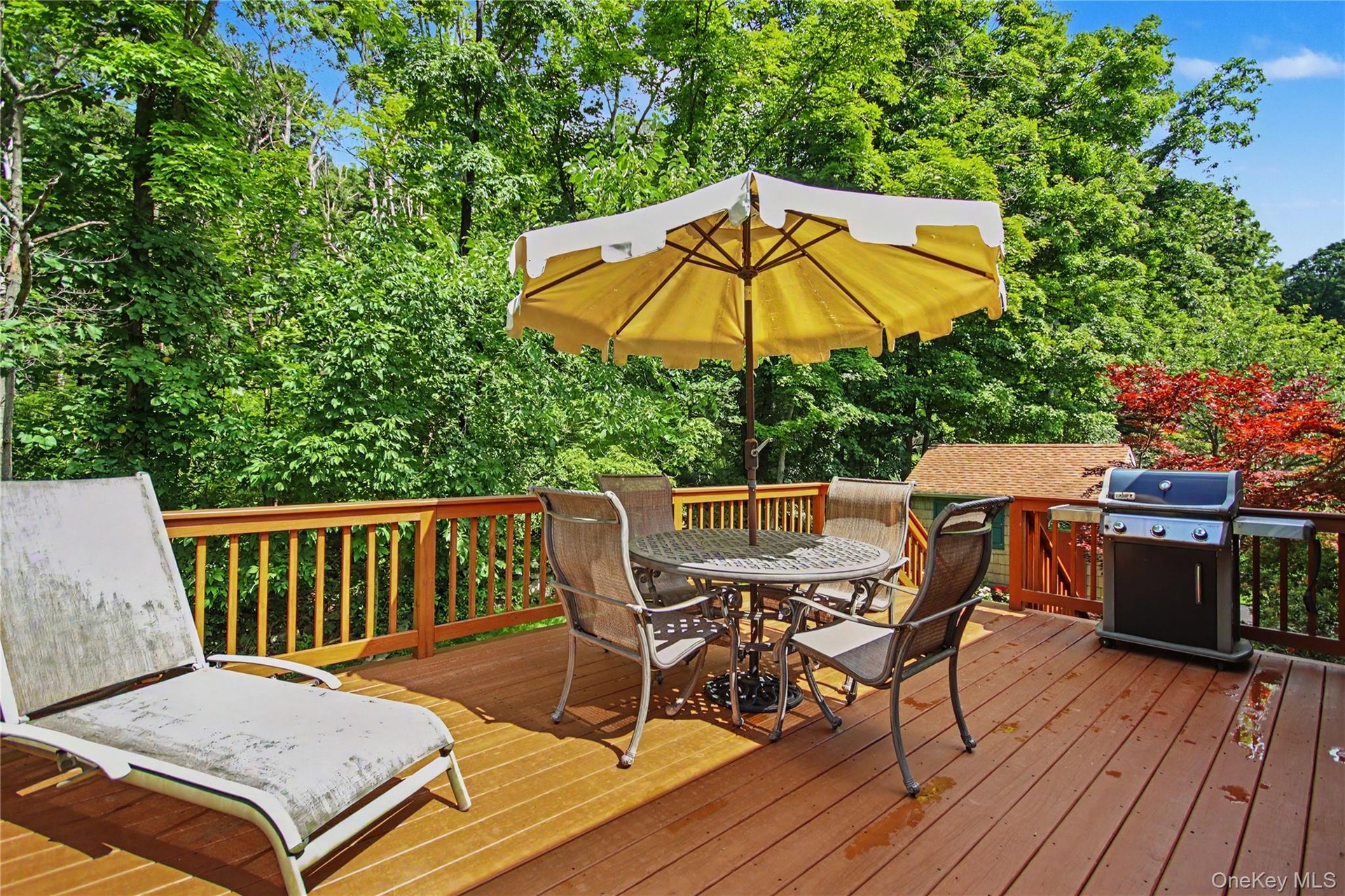 Large Deck