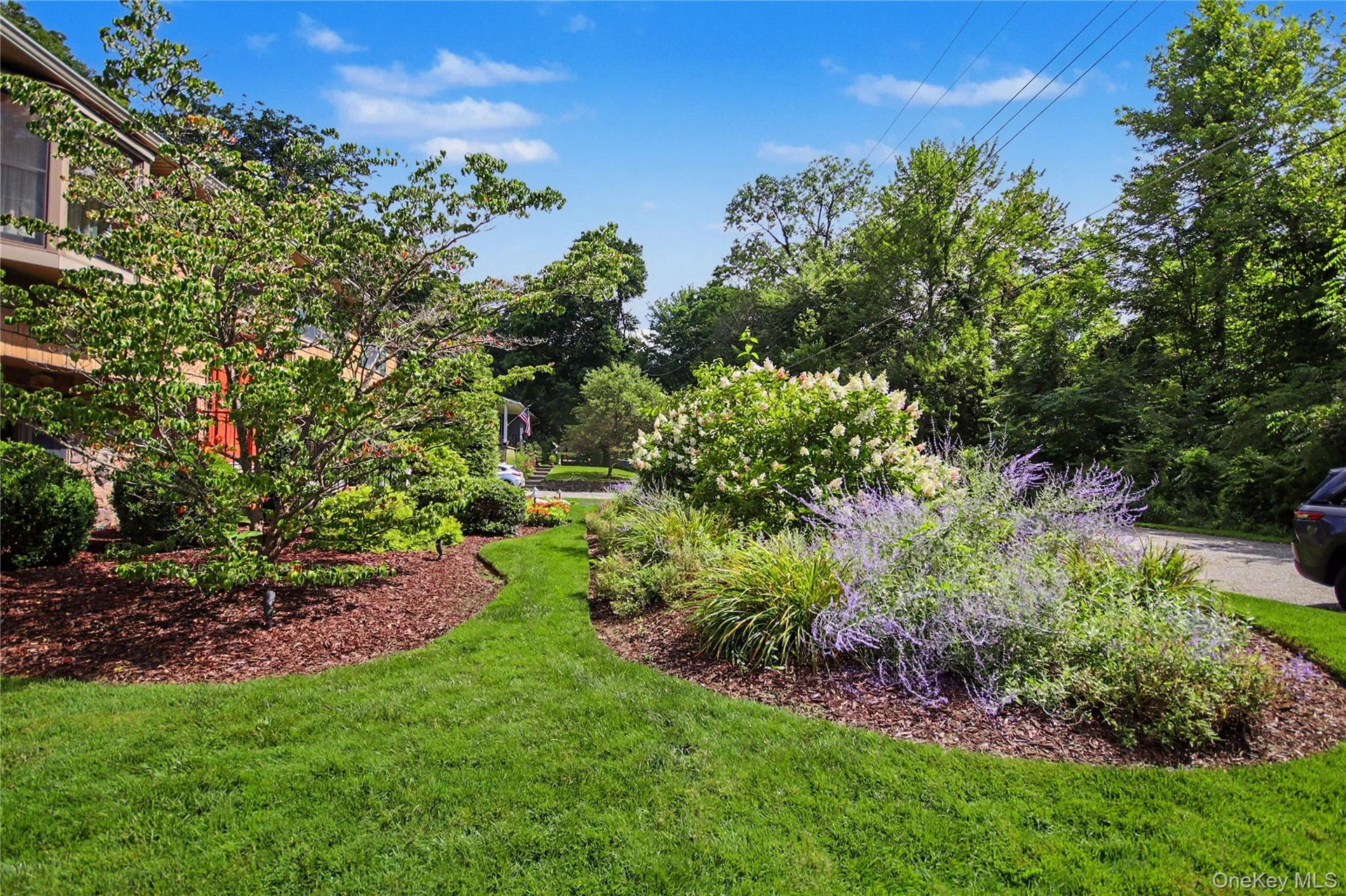 Front Yard