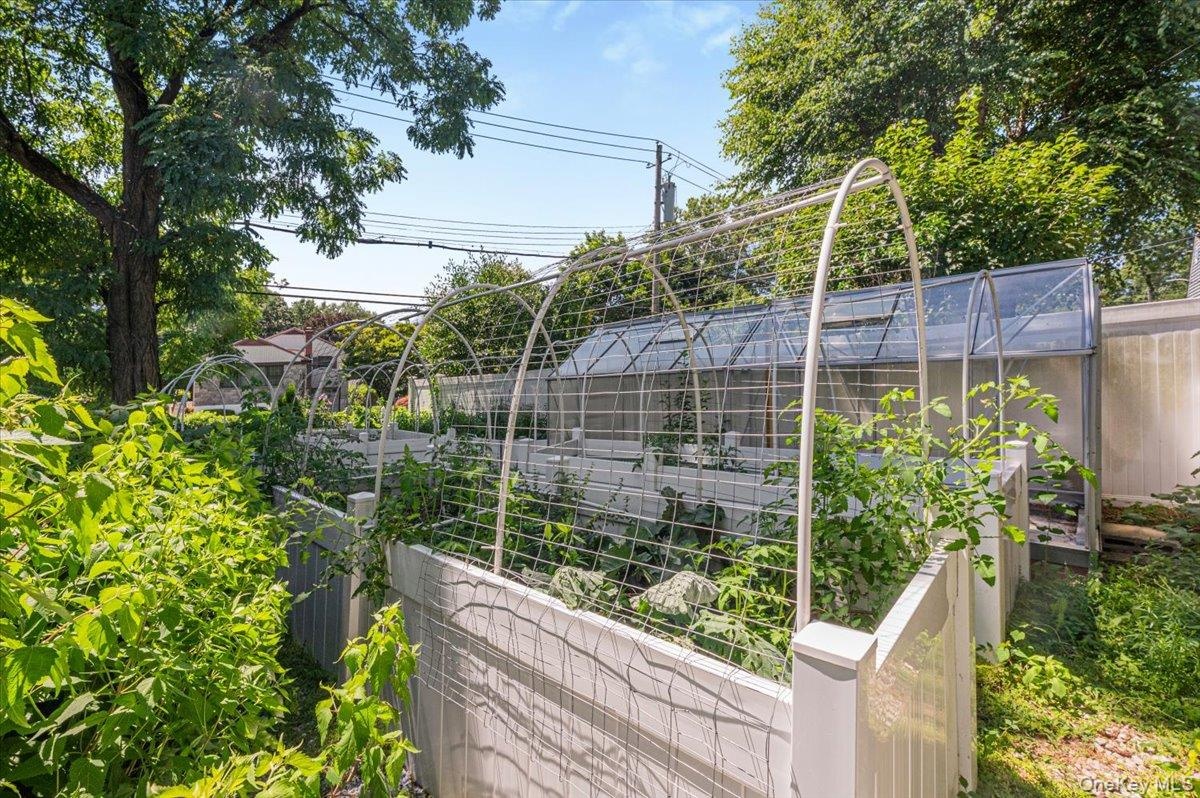 Raised Garden