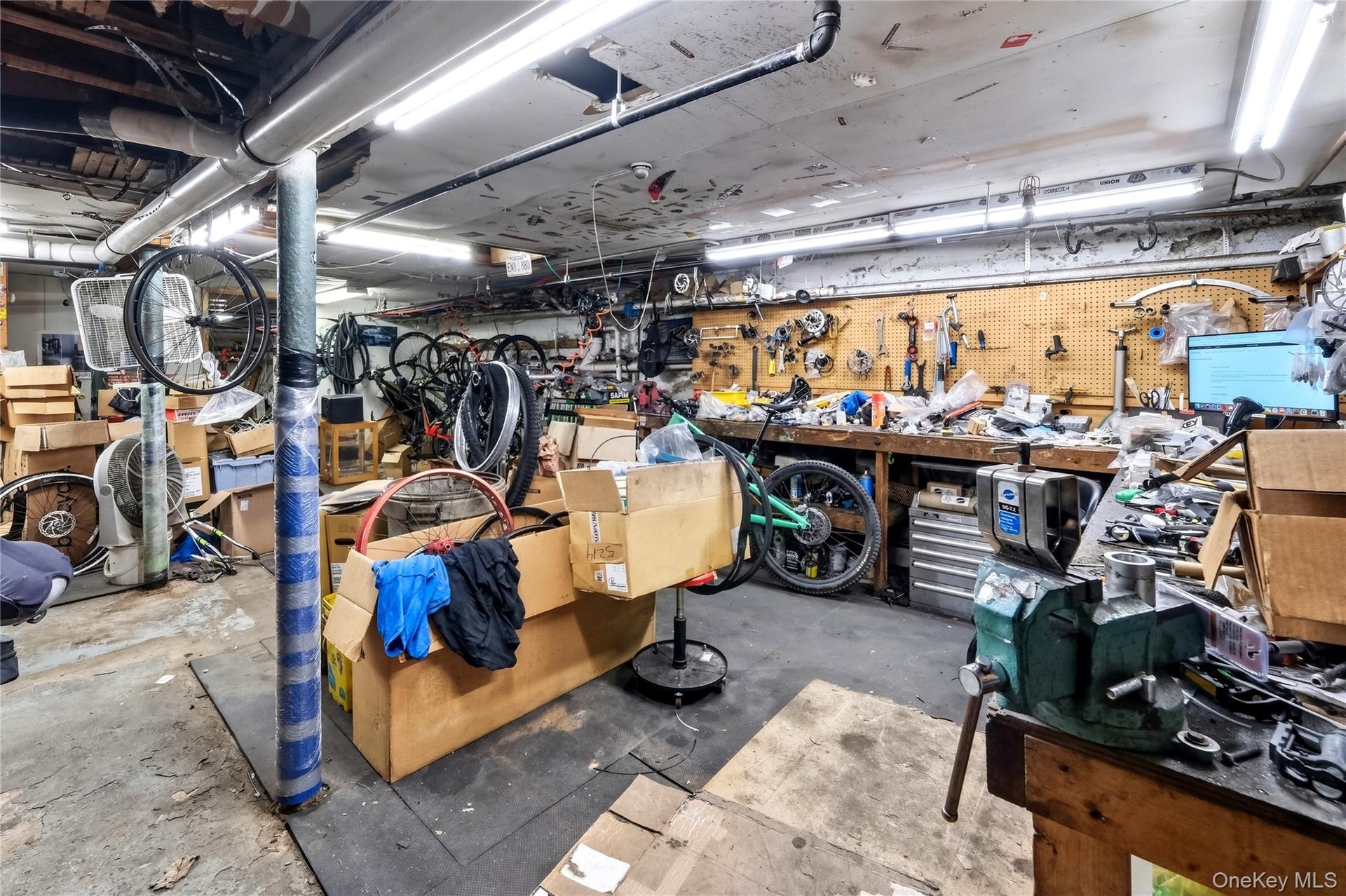 Basement