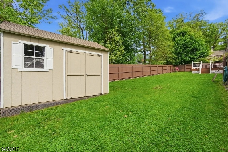 Yard with Shed