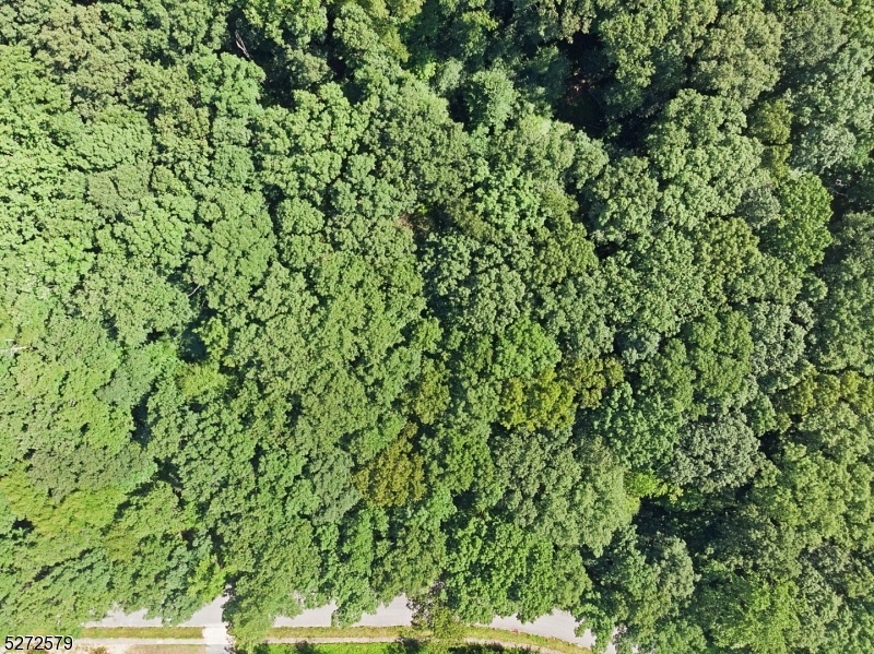 Imagine Your Dream Home Here