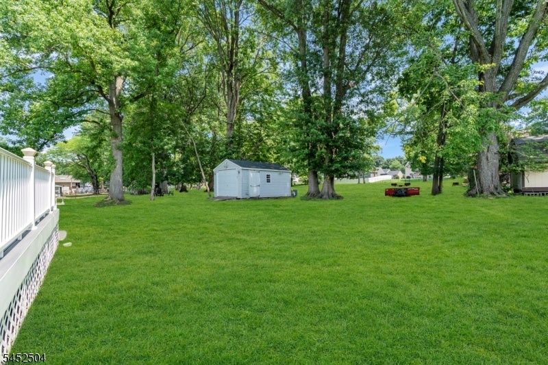 Yard