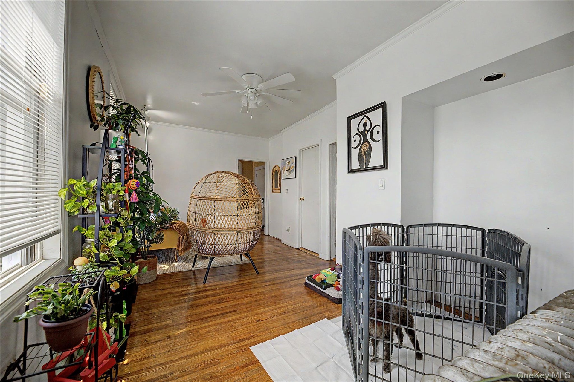 Hardwood flooring throughout, multiple windows, and crown molding