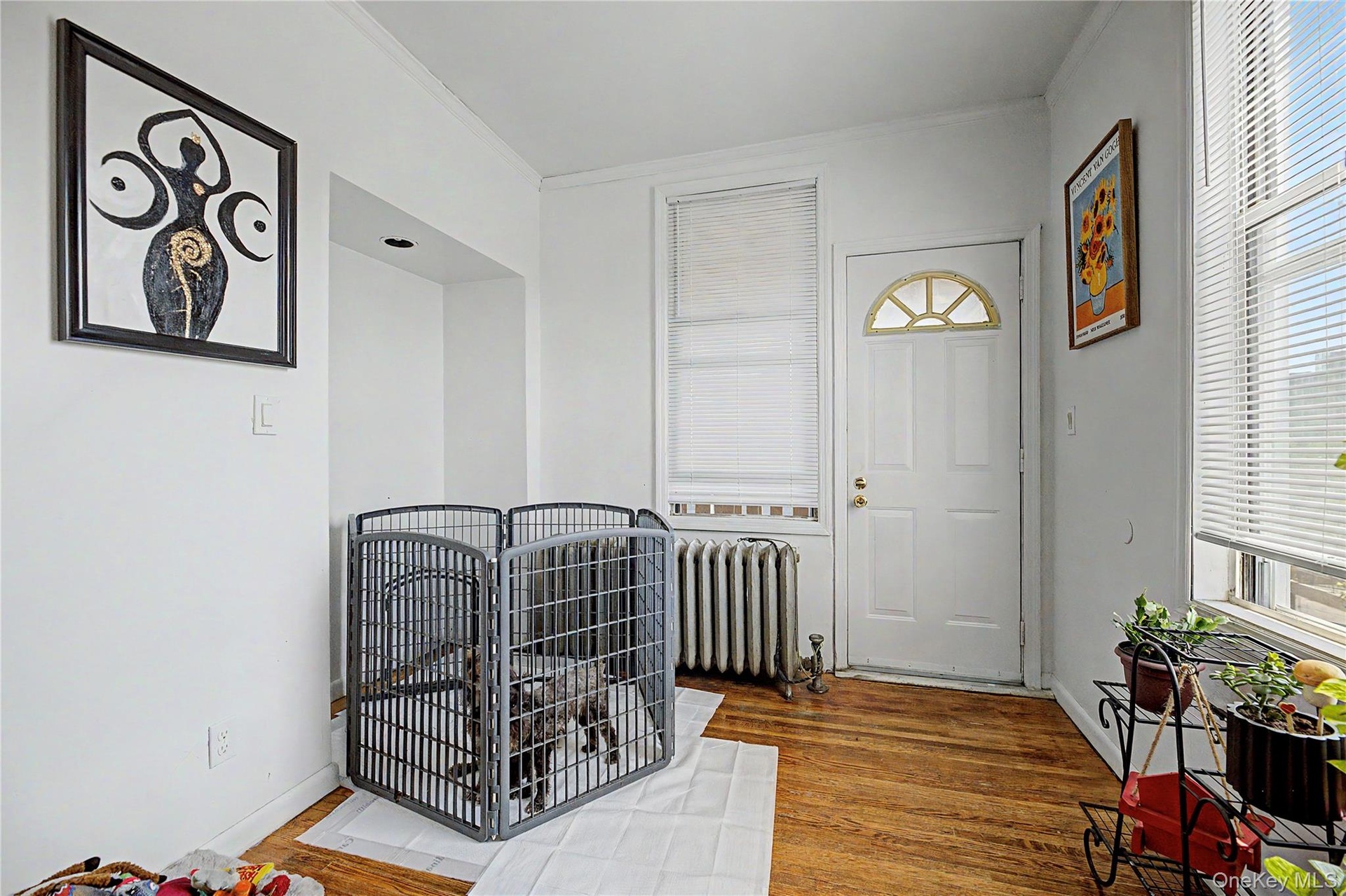 Hardwood flooring throughout, multiple windows, and crown molding