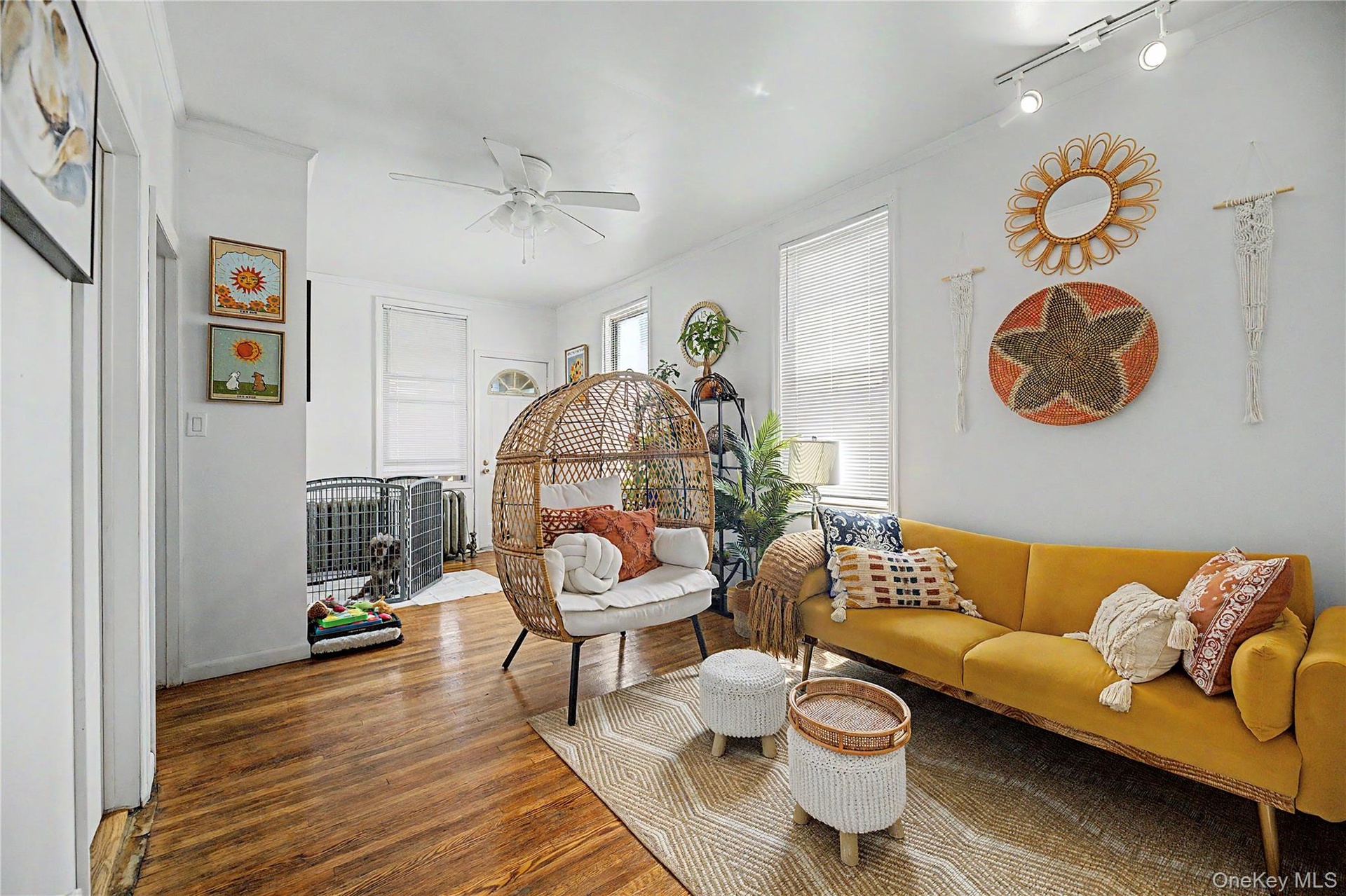 Hardwood flooring throughout, multiple windows, and crown molding