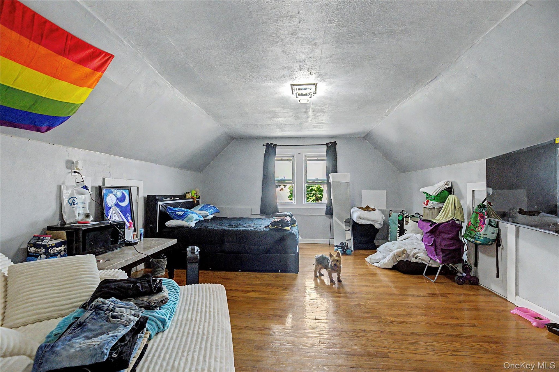 Sloped ceiling room featuring wood-finish flooring, a double window, and a flush-mount light fixture