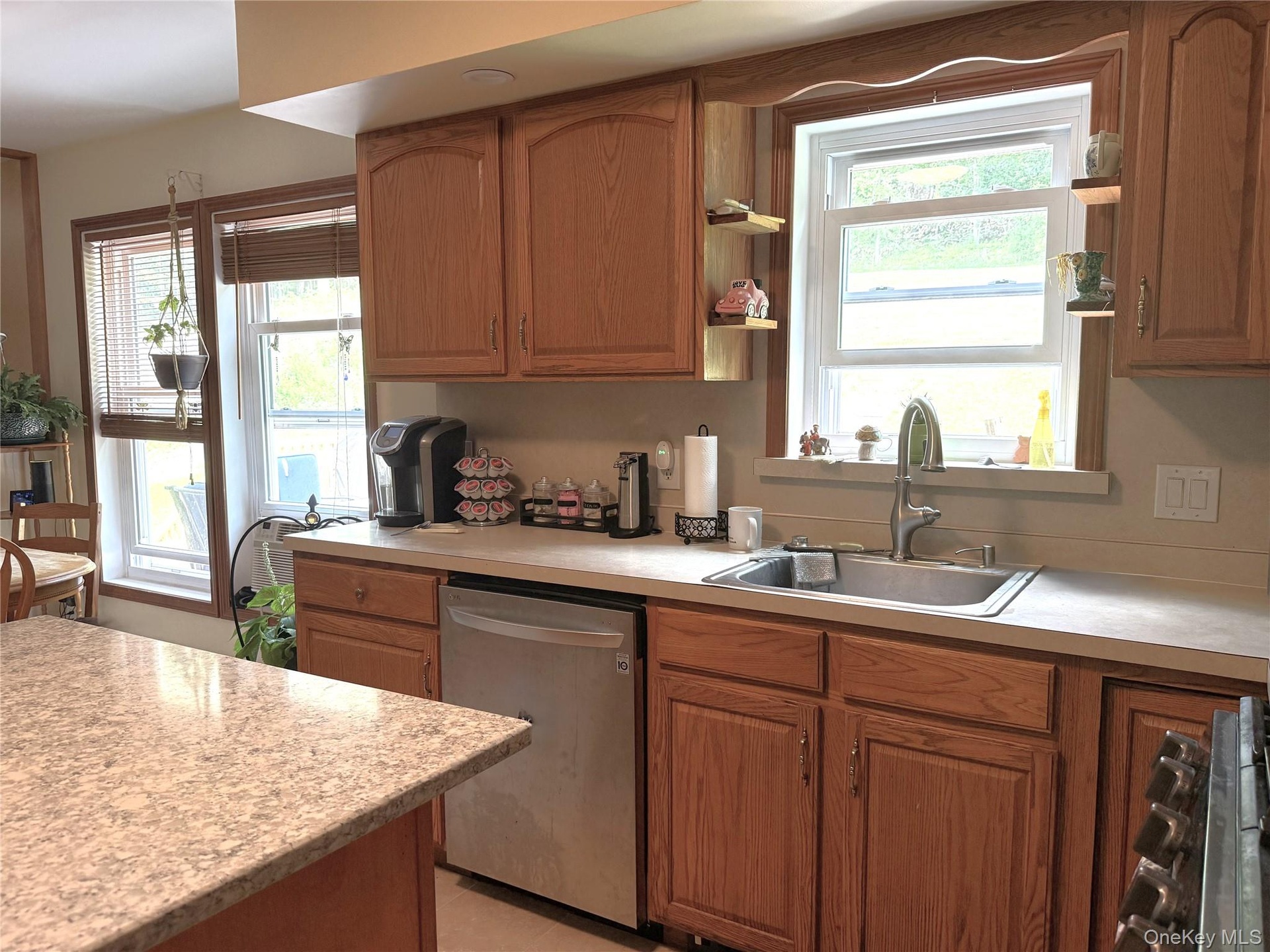 Lots of counter space. Stainless dishwasher & fridge.