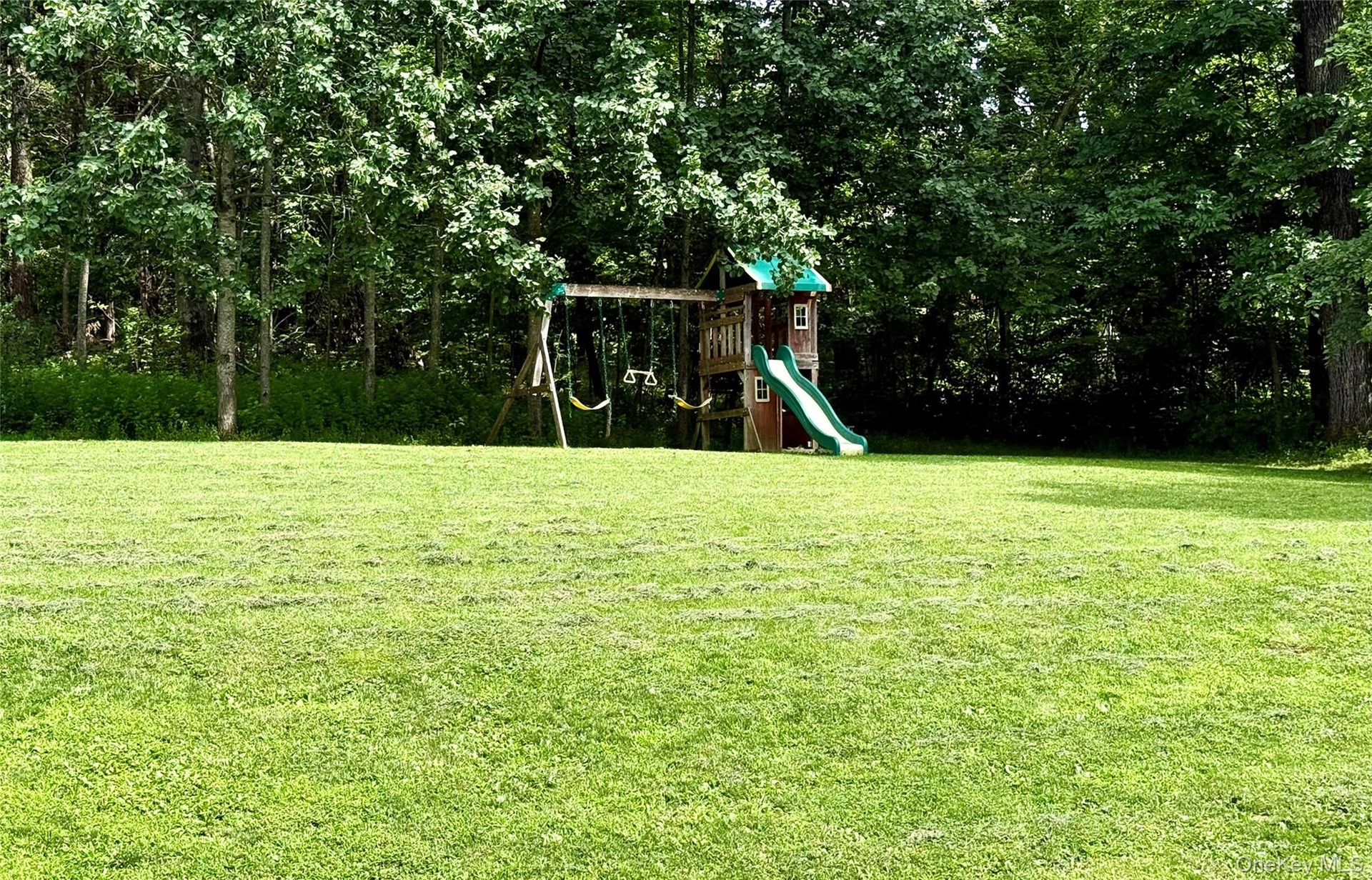 Swing set, fort & slide!