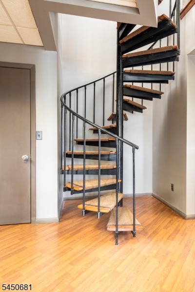 Spiral Staircase