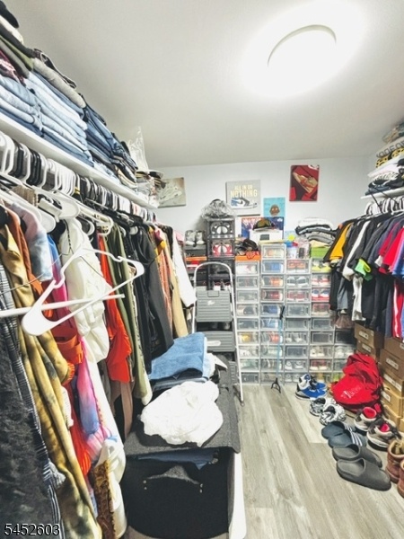 Basement Walk in Closet