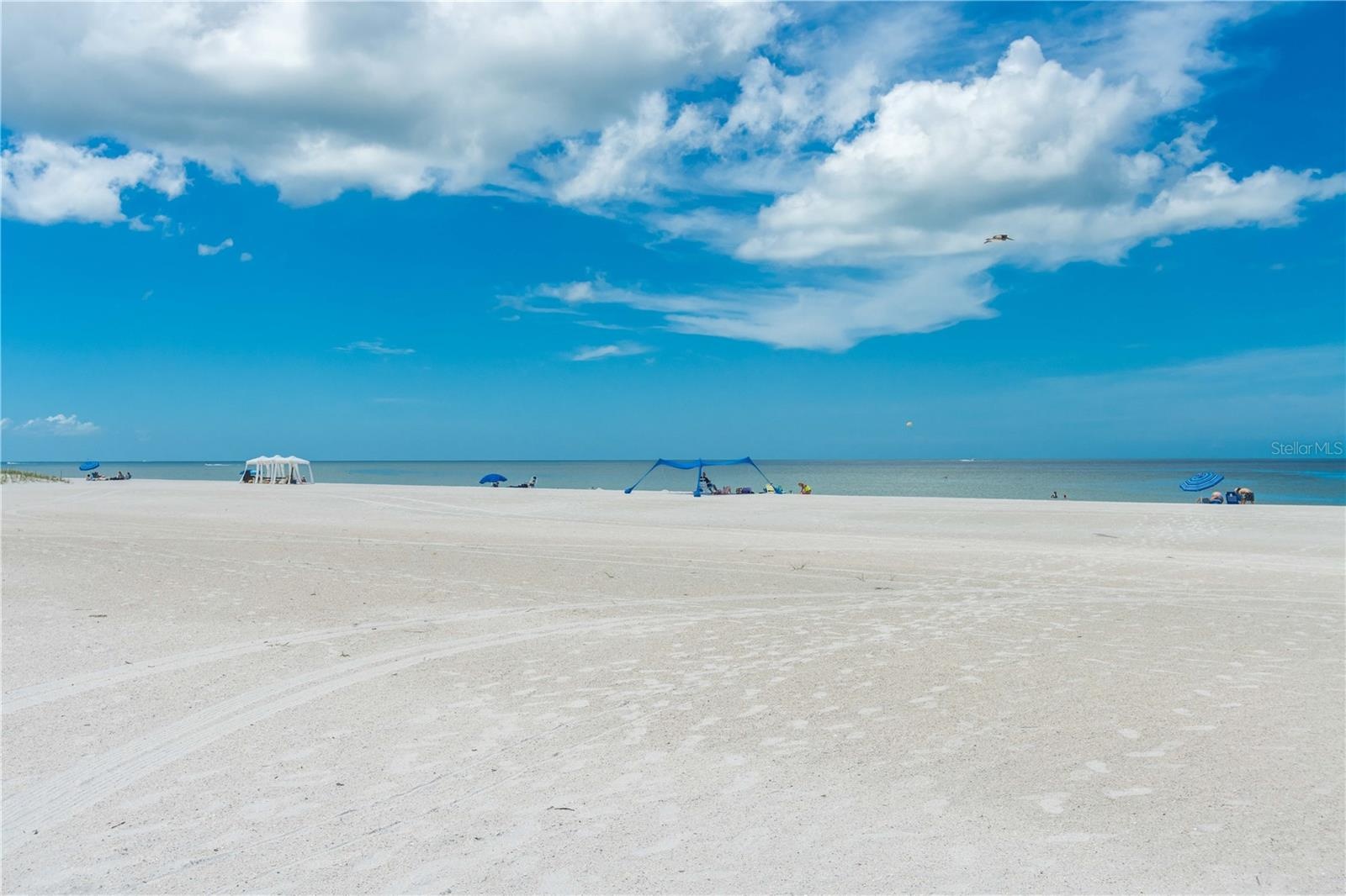 THE PRISTINE BEACH OF TREASURE ISLAND  THE WIDEST AND BRIGHTEST
