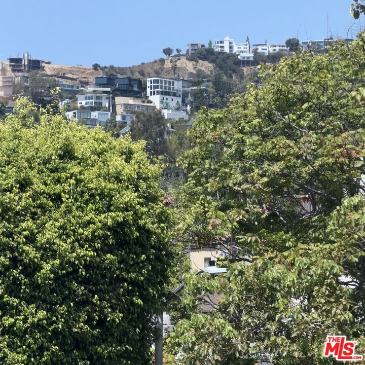 Hills and Mountain View from M