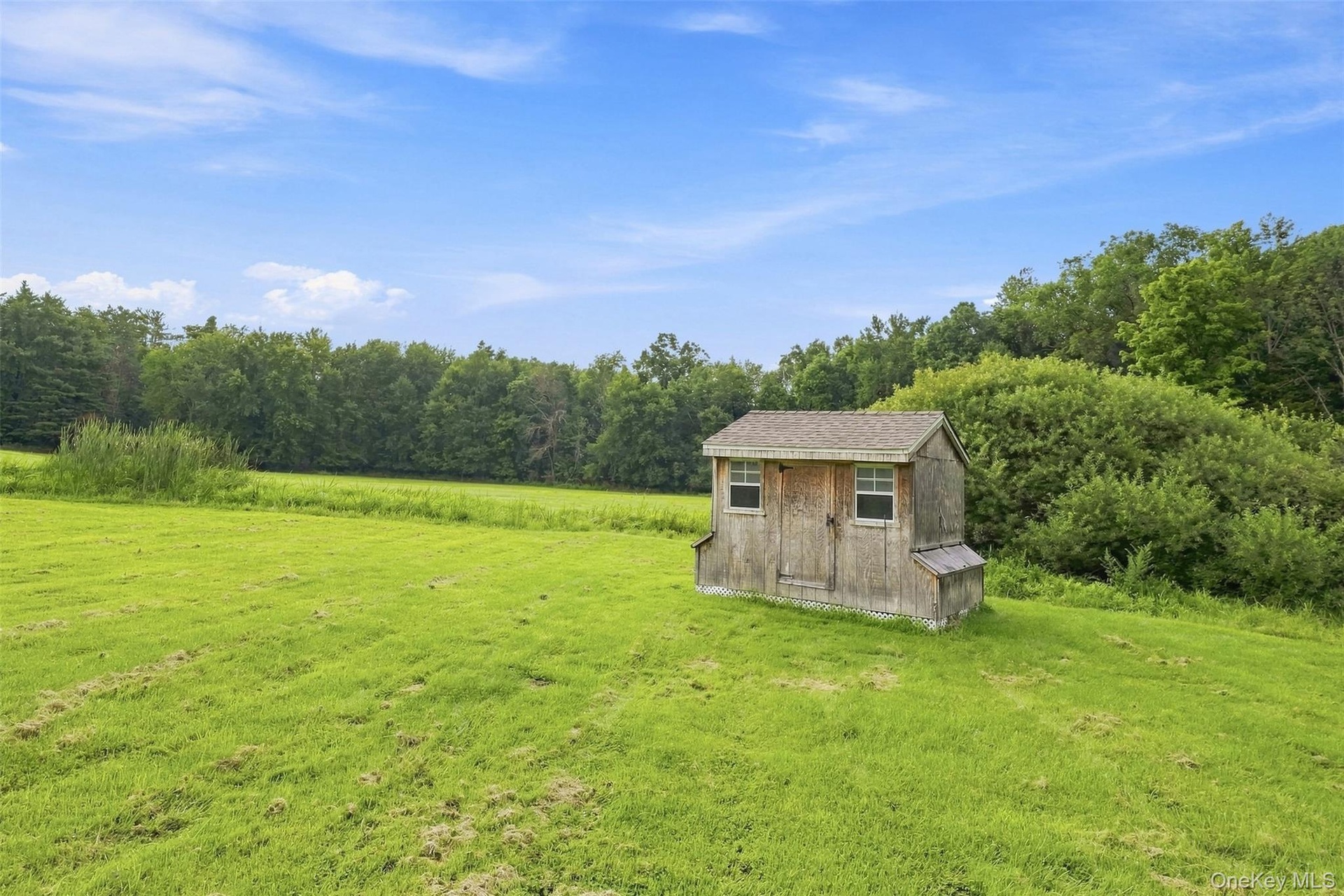 Storage or chicken coop
