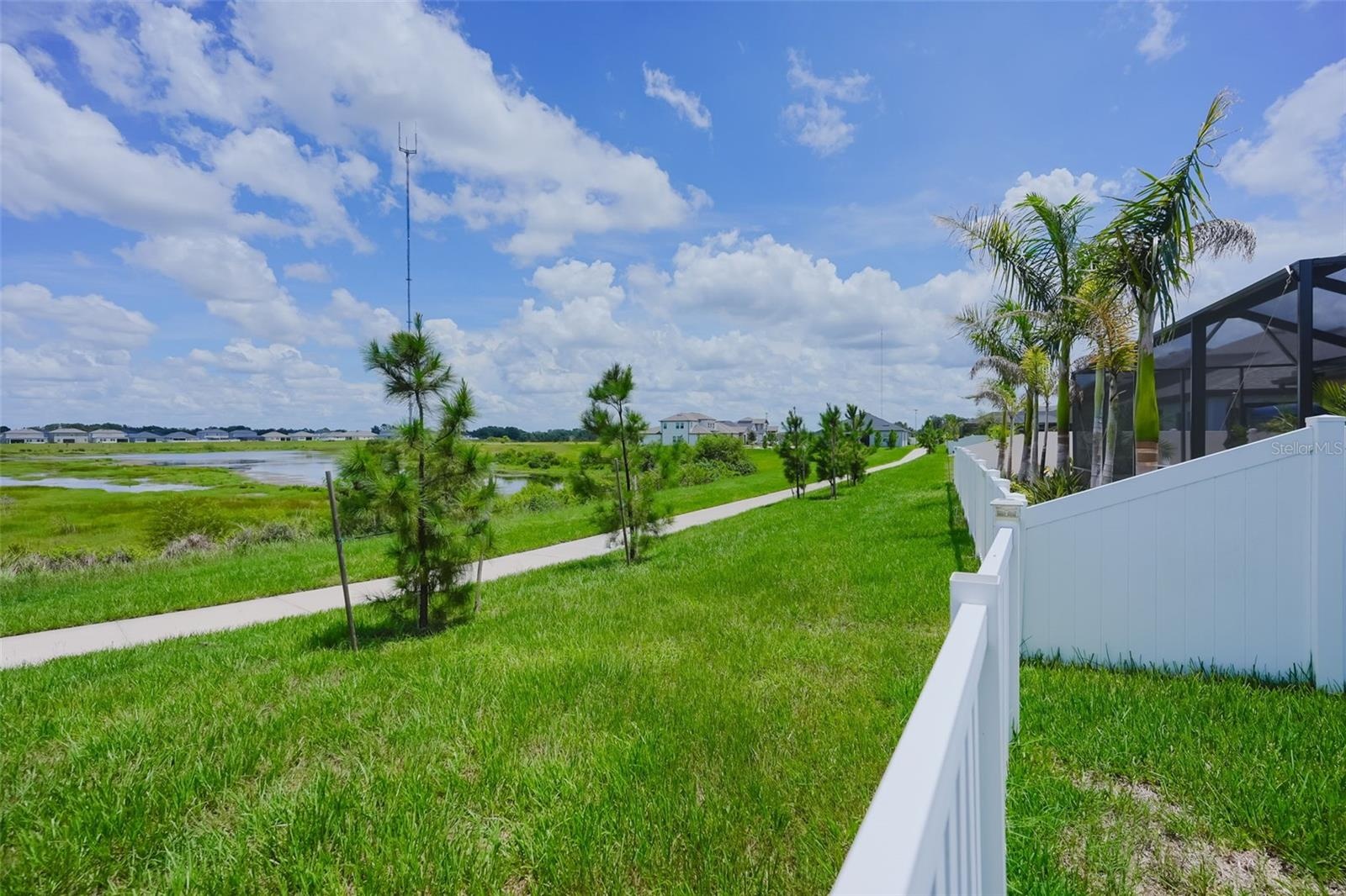 Conservation Pond view