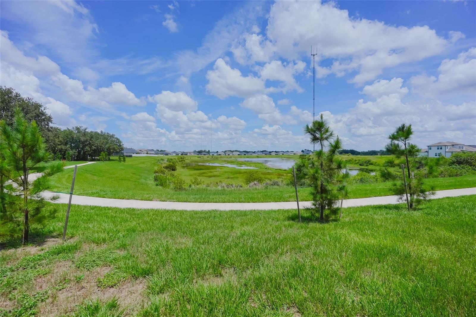 Walking trail - Conservation pond