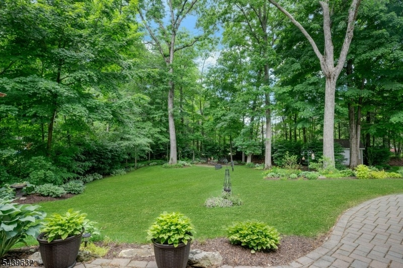 SPECTACULAR GROUNDS