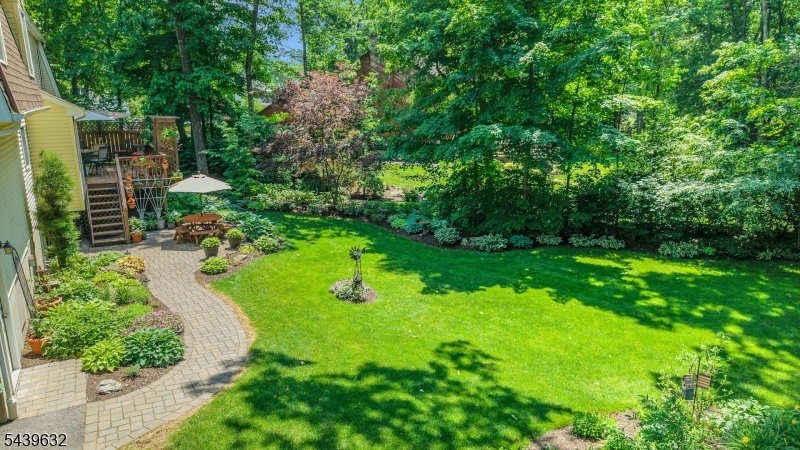 SPECTACULAR GROUNDS