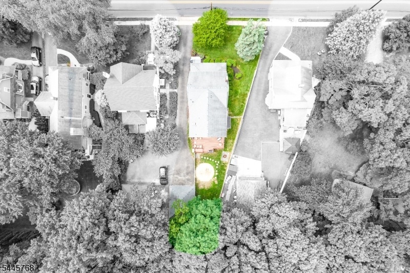 Drone Overhead
