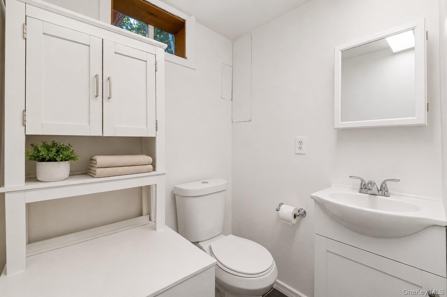 basement bathroom